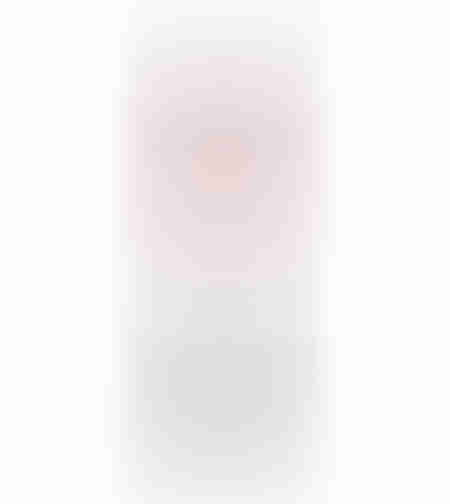 XMAS RED GUARD L DECO METAL WHITE BLACK RED 25x21x