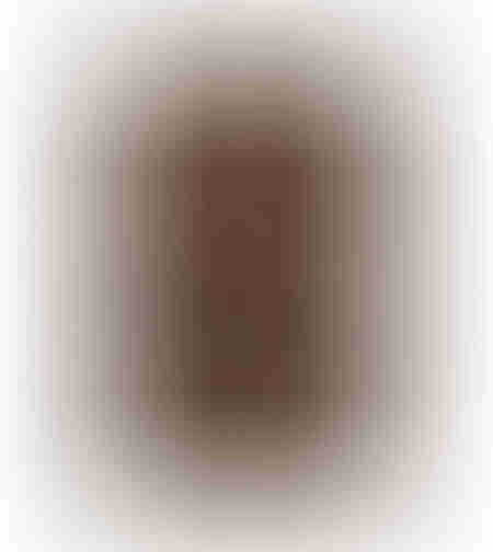 ABSTRACT SHAPE PAINTING DECORATIVE WITH FRAME 80x120x4 CANVAS BROWN PP