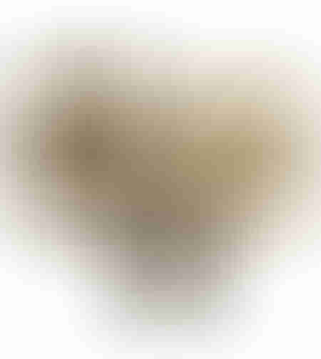 JABBAR DECO WALL SET 3PCS SEAGRASS NATURAL BLACK 5