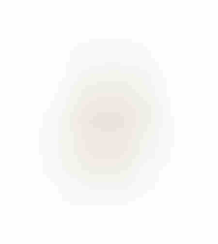 AROMA ESSENCE ARTIFICIAL FLOWER FOAM PVC BEIGE H70