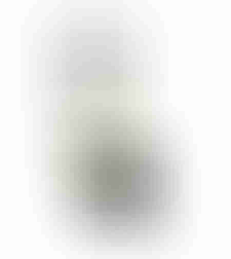 IPURO ESSENTIALS BLACK BAMBOO FRAGRANCE EU