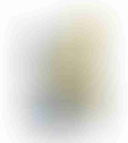 PALEN 2 PAINTING CANVAS BLUE WHITE WOOD GOLD 70x10