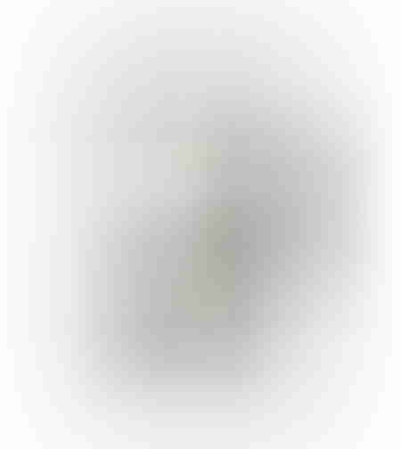 RENVO PAINTING DECORATIVE 80x120x5 CANVAS WHITE BLACK WOOD BLACK