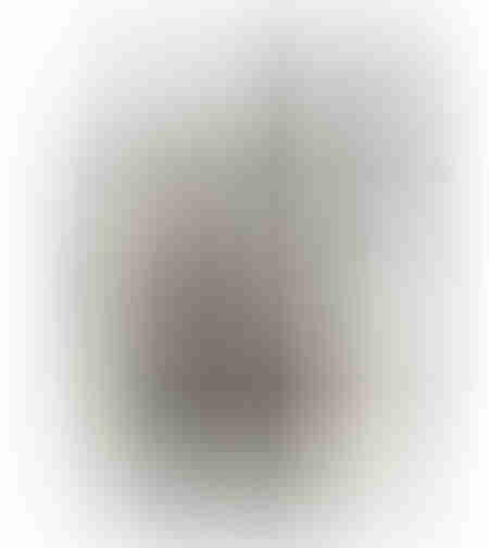 FADING FACES PAINTING DECORATIVE WITH FRAME 80x120x4 CANVAS BEIGE BLACK PP