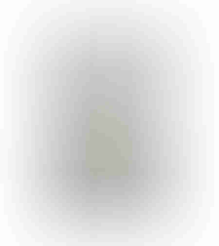 WHITE PAGES PAINTING CANVAS WHITE FRAME SILVER 80x
