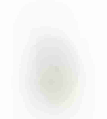 IPURO HO.RE.CA ESSENTIALS FLOWER BOWL FRAGRANCE 1L