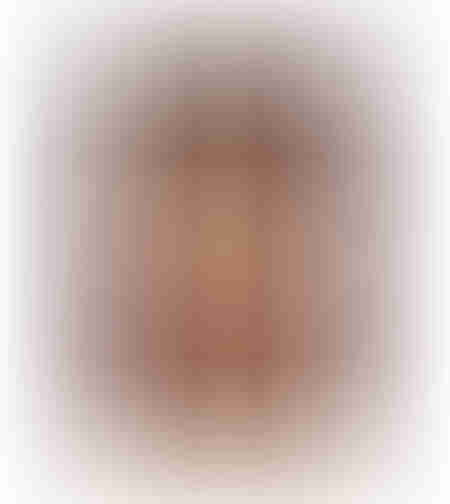 ETERNAL GAZE PAINTING DECORATIVE WITH FRAME 80x120x4 CANVAS BORDEAUX BEIGE PP