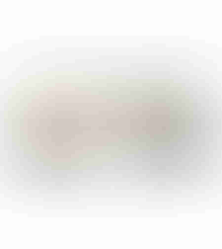 INOLA PAINTING DECORATIVE 60x120x4 CANVAS WHITE BEIGE GREY WOOD NATURAL