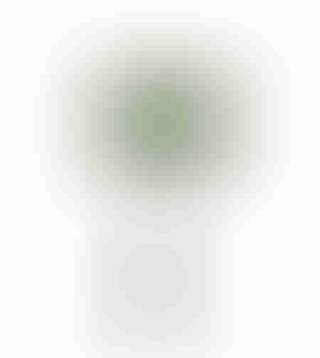 OLIA ARTIFICIAL PLANT PVC PU GREEN H75cm PRC
