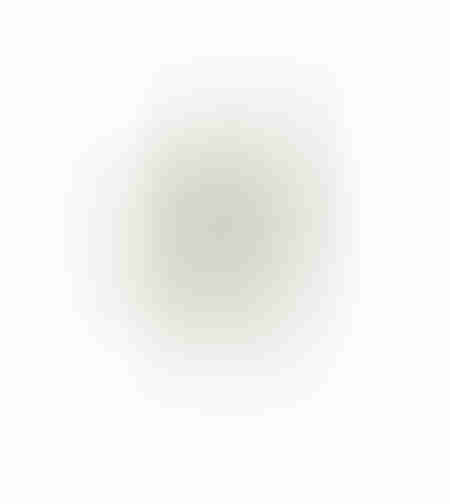 AROMA WISHPER ARTIFICIAL FLOWER FOAM PVC