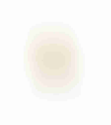 AROMA DELIGHTS ARTIFICIAL FLOWER FOAM PVC CREA H7