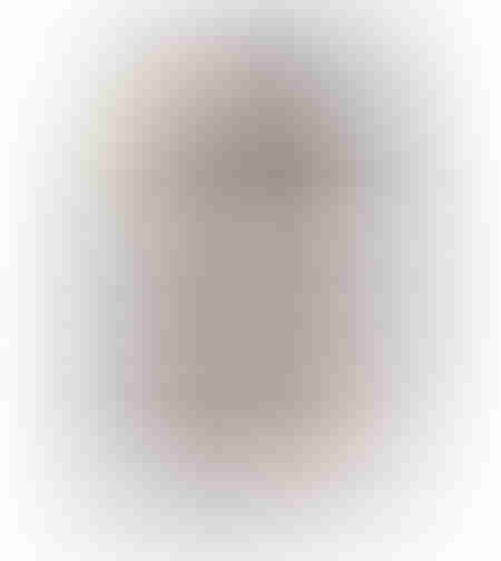 QUIET GRACE PAINTING DECORATIVE WITH FRAME 80x120x4 CANVAS BEIGE BLACK PP