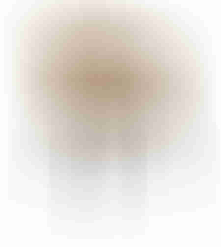 CAPRICE CHAIR ARMCHAIR FABRIC MUSTARD WHITE METAL BLACK MATTE E1 PRC