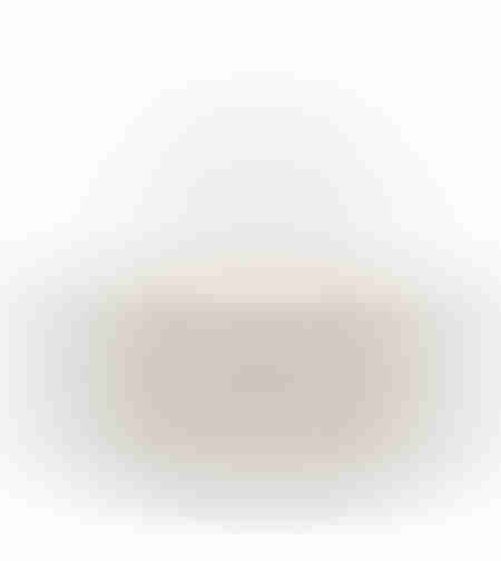 CURVE COUP WITH LID PORCELAIN BAMBOO BLACK NATURAL