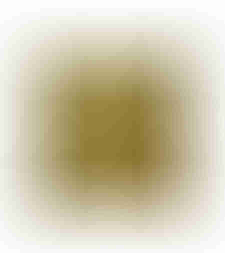 BRILLO DECOR CUSHION VELVET GOLD 45x45cm PRC