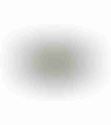 PERI TRAY ALUMINIUM SILVER MATTE D29xH2cm IN