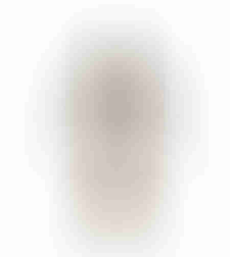 XMAS ENKEL 2 ANGEL WOOD ALUMINIUM SILVER 30x7xH77c