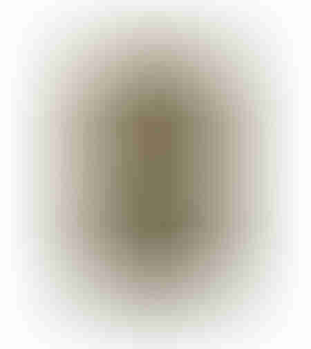 NISHA LIVING ROOM RUG OUTDOOR 230x160 PP BEIG