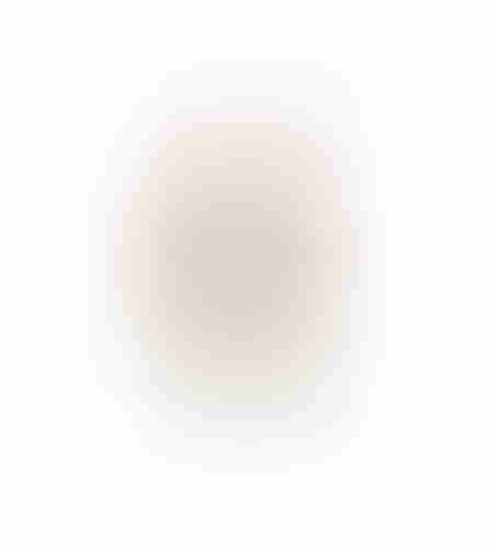 AROMA BLISS ARTIFICIAL FLOWER FOAM P PINK GREEN