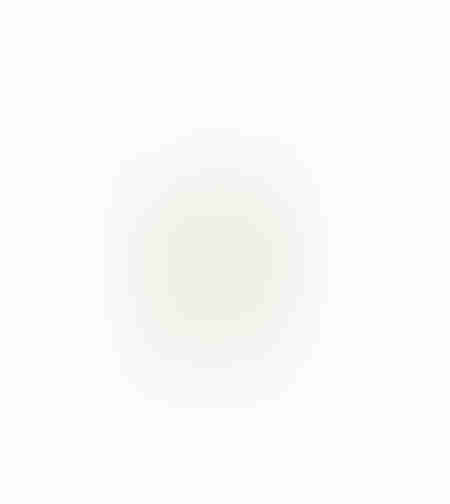 AROMA ESSENCE ARTIFICIAL FLOWER FOAM PVC BEIGE H80