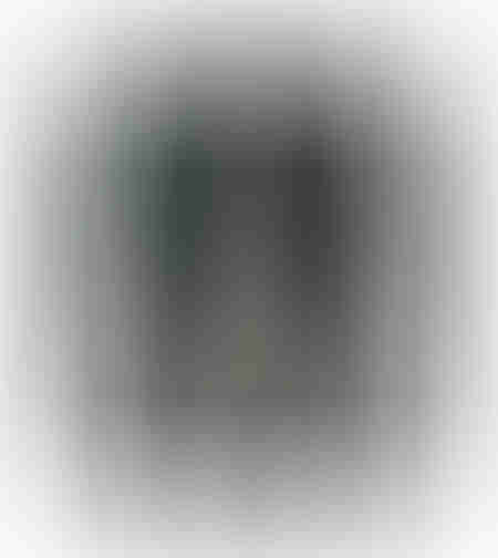 GENTLE WHISPERS B PAINTING WOOD BLACK WHITE YARN F