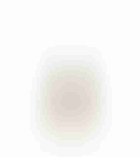 XMAS EVE TREE ALUMINIUM WOOD MANGO SILVER NATURAL