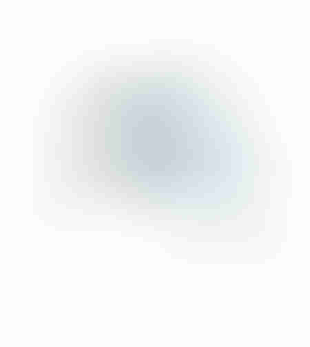 POLUO ARTIFICIAL BRANCH EVA FOAM BLUE GREY H110cm