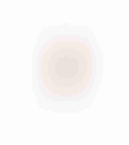 AROMA PETALS ARTIFICIAL BRANCH FOAM PVC PEACH H75c