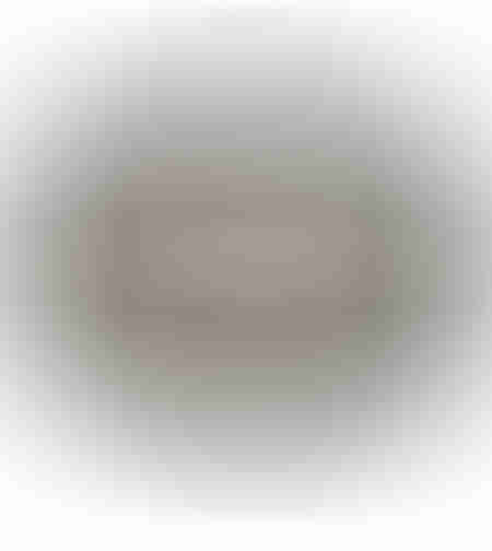 SHYLA CARPET OVAL BLACK 200x300cm IN