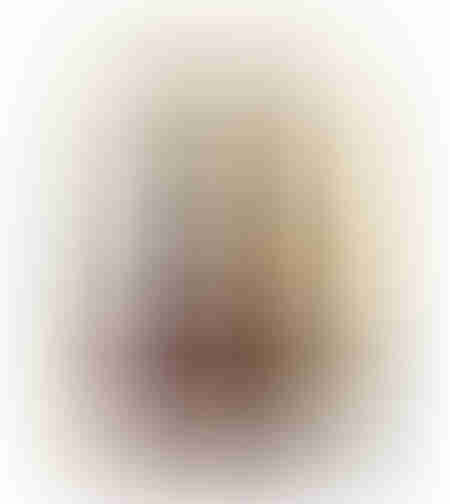 JAPANESE BEAUTY PAINTING CANVAS MULTICOLOR WOOD FR