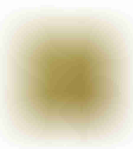 SIMPLY LOUIS DECOR CUSHION VELVET DIJON 45x45cm PR