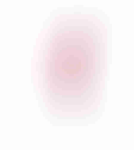 ORCHIDEE ARTIFICIAL FLOWER PEVA PINK WHITE 91x16xH