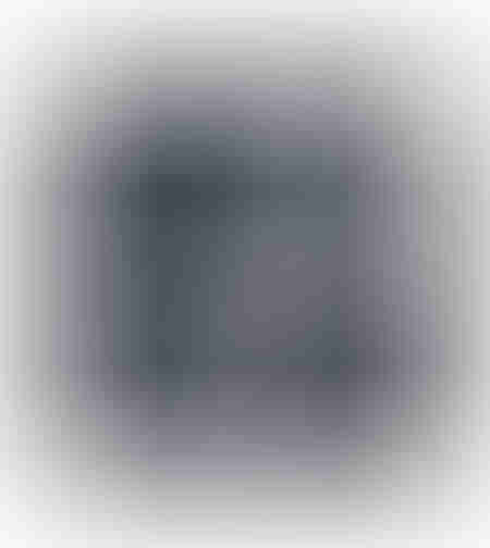 CRANE 2 PAINTING CANVAS PETROL WHITE WOOD BLACK 82