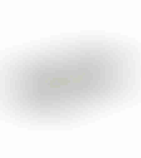 HANDLES TRAY ALUMINIUM SILVER 46x32xH5,5cm IN