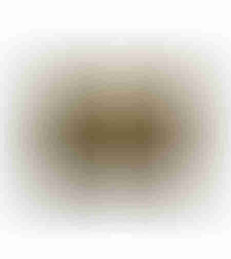 DORATO DECOR CUSHION VELVET GOLD BROWN 40x60cm PRC