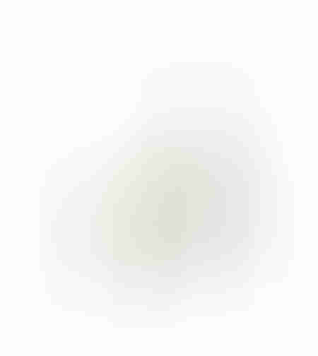 XMAS POWDER DEER 3 DEER POLYFOAM FABRIC WHITE 20x6