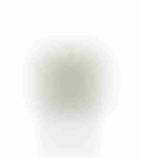 OLIA ARTIFICIAL PLANT PVC PU GREEN H45cm PRC