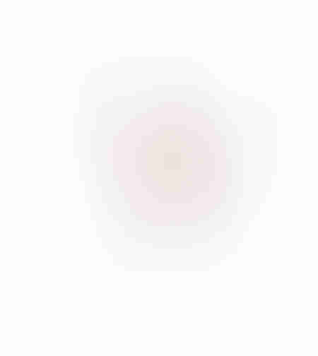 AROMA BLISS ARTIFICIAL BRANCH FOAM PVC PINK H80cm