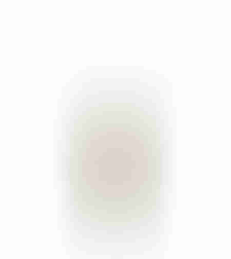 XMAS HOB DAE 30 ELF GOLD WHITE H30cm PRC