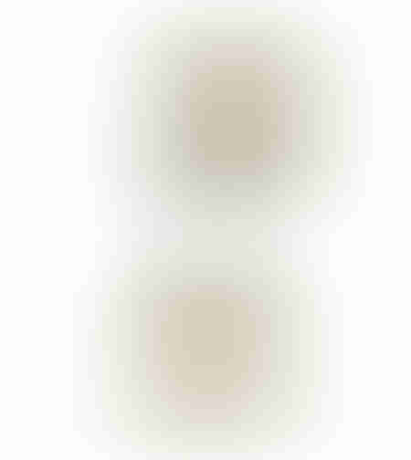 JARNI 1 DECO FACE POLYRESIN WHITE GOLD 15,5x10xH28