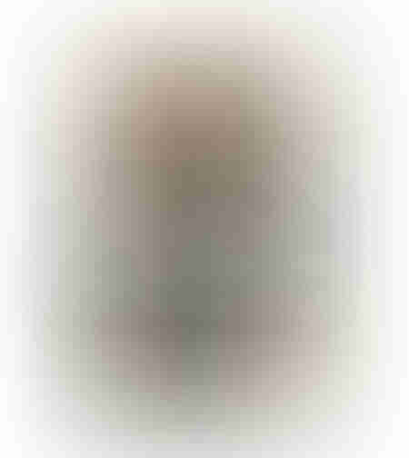 DESERT BLOOM PAINTING DECORATIVE WITH FRAME 80x120x4 CANVAS BROWN BEIGE P