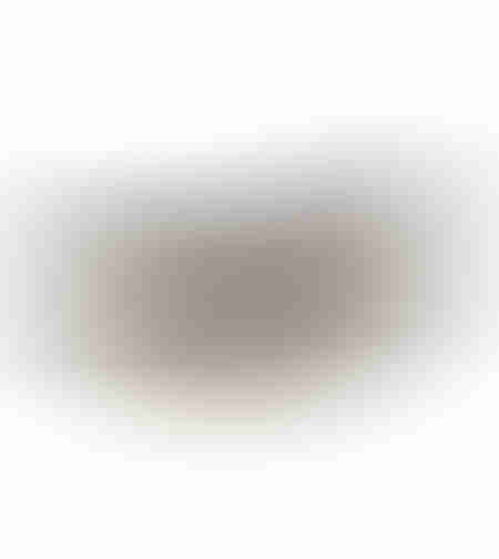 MARGO 1 BOWL ALUMINIUM GOLD SMOKE BLACK 61x25xH14c