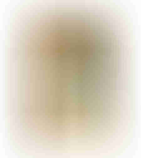 FLOWER LADY 4 PAINTING CANVAS MULTICOLOR WOOD FRAM