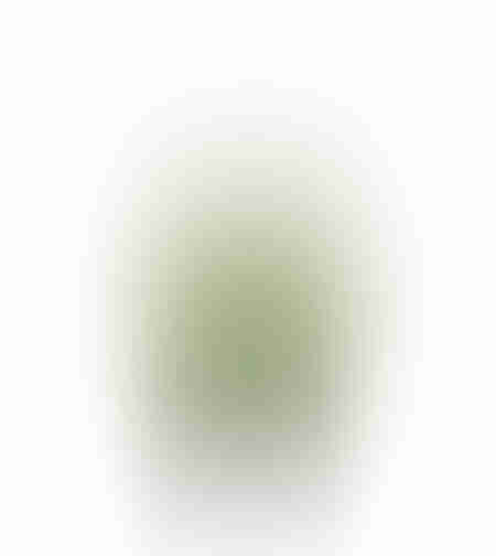 PURE GRASS ARTIFICIAL PLANT IN POT PVC GREEN H68CM