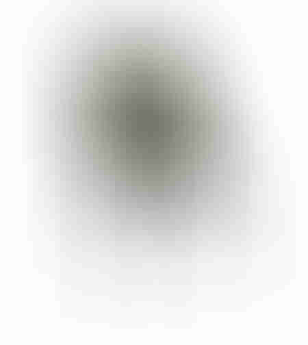 BOUTON CHAIR FABRIC OLIVE GREEN METAL BLACK PRC