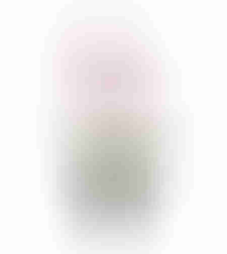 ORCHID 1 ARTIFICIAL PLANT PE/PP PEVA PINK GREEN H3