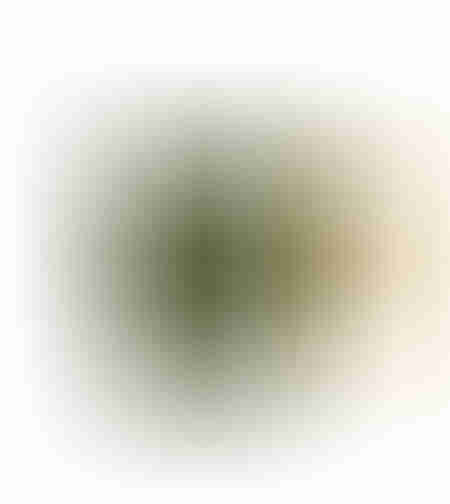 NORDIC MUG NEW BONE CHINA OLIVE GREEN NATURAL D8xH