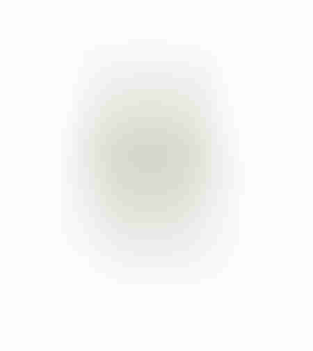 AROMA WISHPER ARTIFICIAL FLOWER FOAM P GREEN GRE