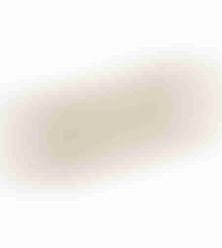 PAGRI BOWL ALUMINIUM GOLD 40x17xH4cm IN