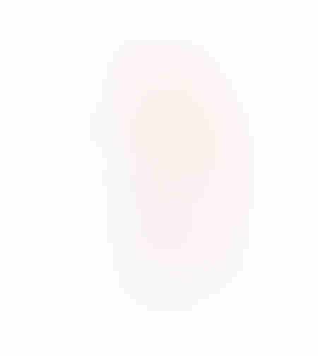 KALINA ARTIFICIAL BRANCH EVA FOAM PINK H150cm PRC